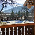 шум черемоша на березі річки * Verkhovyna