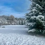 шум черемоша на березі річки *