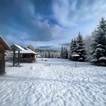 Apartment шум черемоша на березі річки *