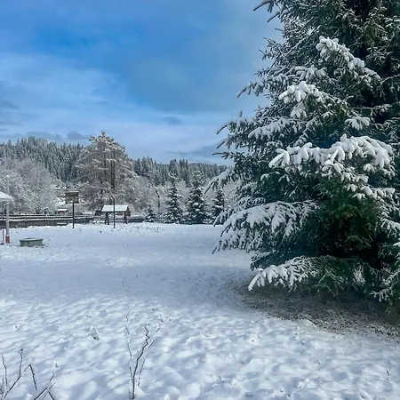 шум черемоша на березі річки *