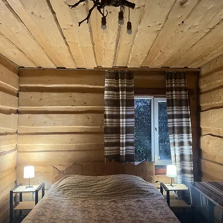 шум черемоша на березі річки *