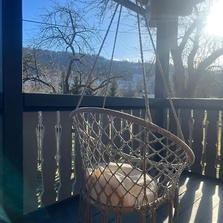 шум черемоша на березі річки *