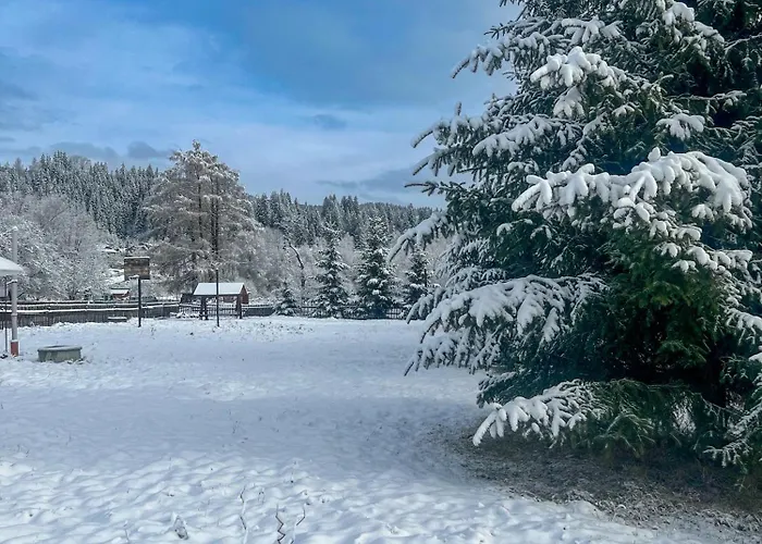 шум черемоша на березі річки *