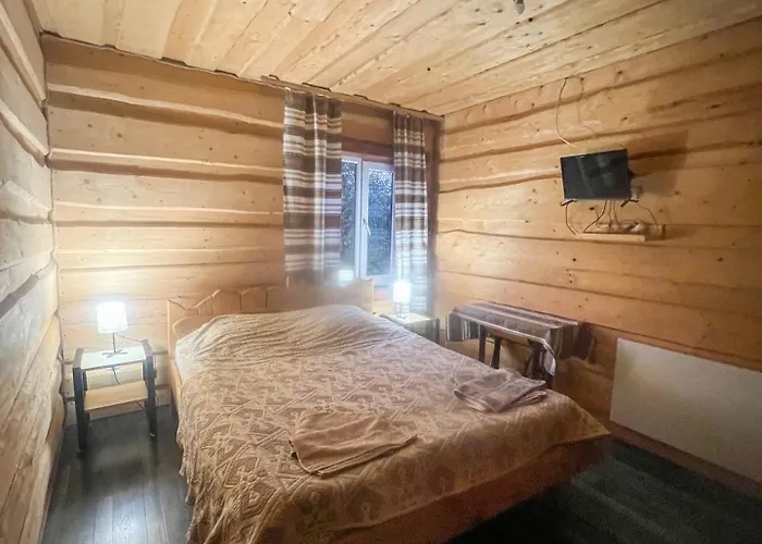 шум черемоша на березі річки *
