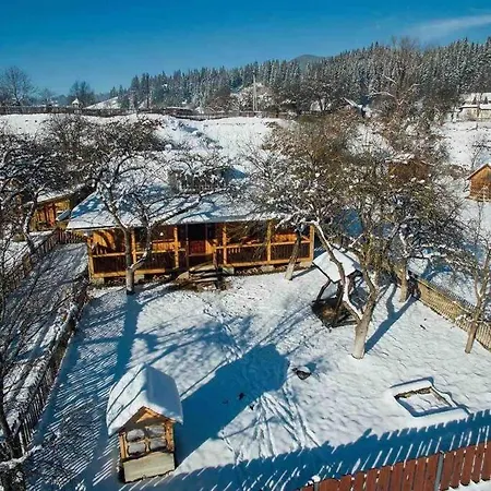 шум черемоша на березі річки Apartamento Verkhovyna