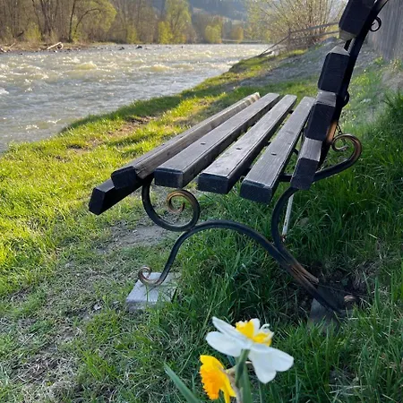 шум черемоша на березі річки
