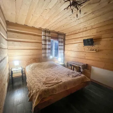 шум черемоша на березі річки *