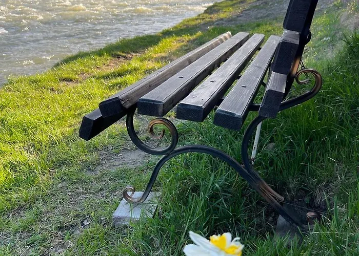 шум черемоша на березі річки